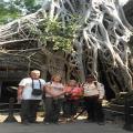 angkor wat kampong klieng fishing village guided tour