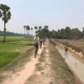Angkor Cycling Tours