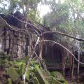 Beng Melea remote temple overgrown